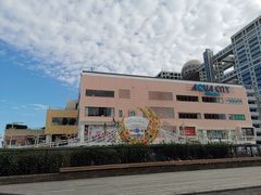 -台场海滨公园船码头