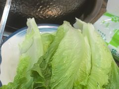 -乳仔牛牦牛汤锅 烤羊排(松潘古城店)