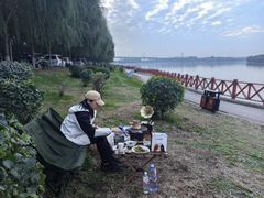 -丁香湖公园