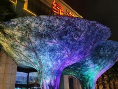-云境生态园(红谷滩店)