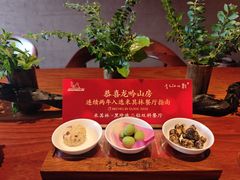 -龙吟山房(青龙山庄店)