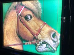 -格莱美量贩式KTV(奥帆店)