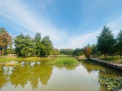 -宁波杭州湾国家湿地公园