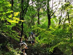 -国家植物园南园