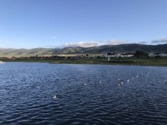 -青海湖国家重点风景名胜区