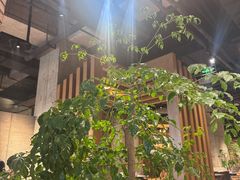 -园里火锅(仁和新城店)