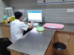 -瑞派名望志远动物医院·猫科·內科·异宠专科(直港大道店)