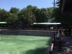 -尚庄度假村·庭台树下·户外烧烤·团建CS·轰趴营地(上庄水库店)