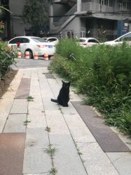 -Hair Co.一间沙龙