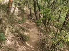 -虞山风景区