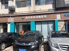 -佳怡动物医院·平价24小时·猫专科骨外科