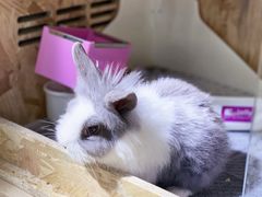 -小意思咖啡店(草桥店)