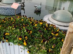 -海心沙亚运公园