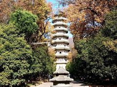 -灵谷景区