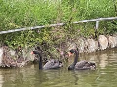 -春晖园度假酒店温泉