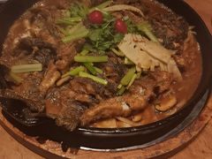 -老板恋上鱼(恒隆广场店)