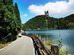 -武陵山森林公园