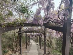 -缥缈峰景区