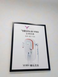-YESIDO椰岛造型