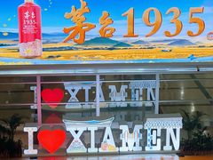 -厦门高崎国际机场-T3航站楼