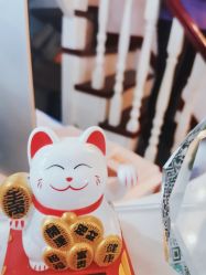 -悦肌YJ FOR FACE皮肤管理中心