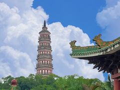 -顺峰山公园