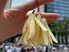 -Ginko银子(青龙街店)