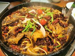 -老板恋上鱼(振华商厦店)