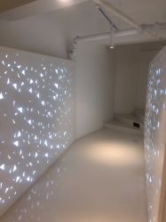 -I+造型烫发染发