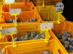 -真真老老(月河花鸟市场店)
