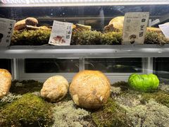 -滇野云南野生菌餐厅(陕西南路店)