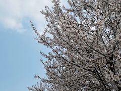 -国际非物质文化遗产博览园