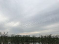 -白洋淀景区