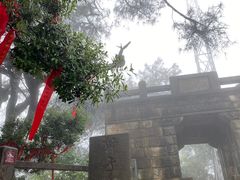 -缙云山景区