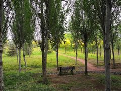 -东郊湿地公园