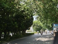 -黄埔油麻山森林公园