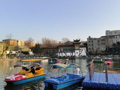-莲湖公园
