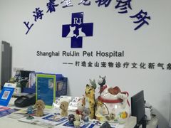 -睿金宠物医院·CT·肿瘤·骨外科