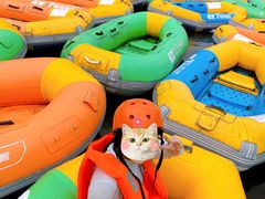 -雅鲁激流探险漂流