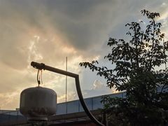 -映水芙蓉(上海万象城店)