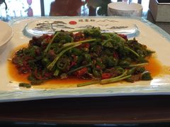 -成都美盈都市现代农业示范园