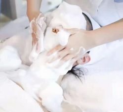 -LUNA皮相美·骨相美高级美感