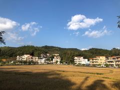 -红山村