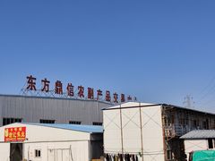-东方鼎信农副产品交易中心