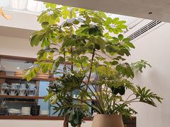 -自如ZSPACE四合院艺术餐厅