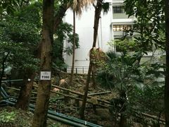 -香港大学