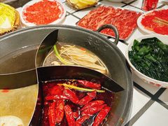 -朱光玉火锅馆(正弘城店)