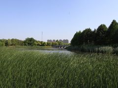 -苏州东太湖生态园