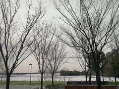 -昆山城市生态森林公园