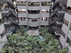 -黑龙江中医药大学附属第一医院